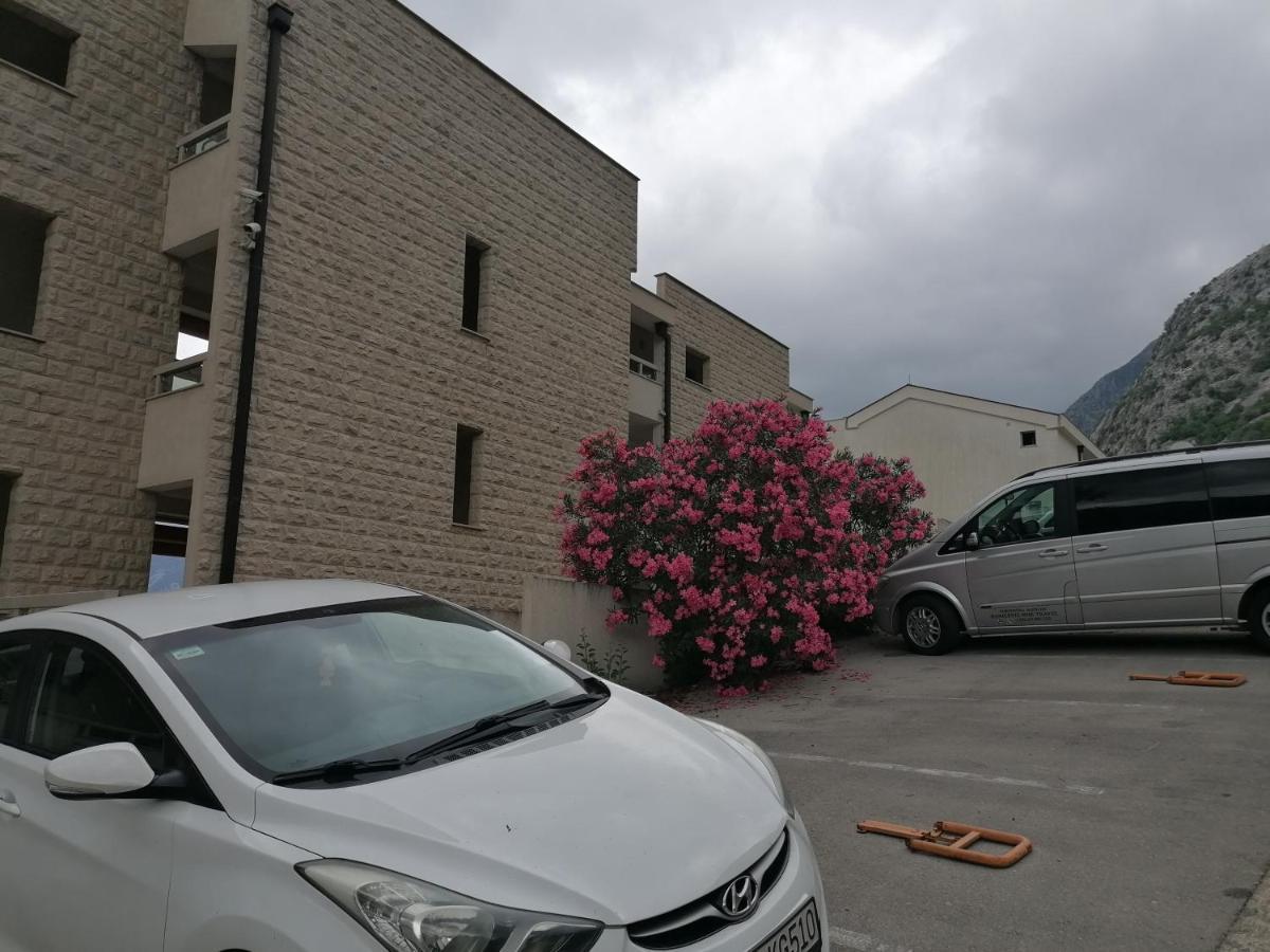 Villa Milla Kotor Exterior foto